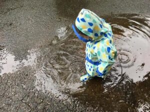 雨の日レクリエーション